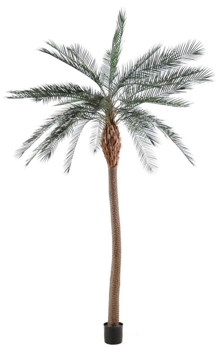 Kunstig Phoenix Palm Tree 340 Cm For Utendørs