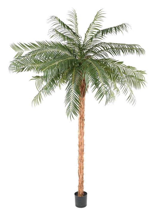 Kunstig Phoenix Palm Tree 340Cm For Innendørs