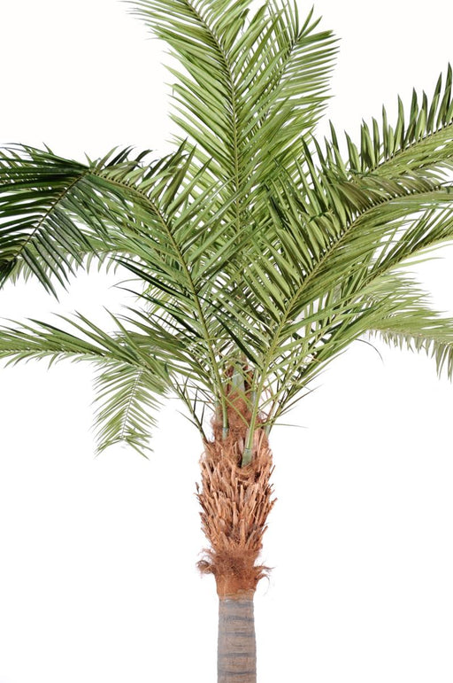 Kunstig Phoenix Palm Tree 380Cm Luksusdekorasjon