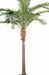 Kunstig Phoenix Palm Tree 380Cm Luksusdekorasjon