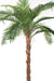 Kunstig Palmetre Phoenix Canariensis H.370Cm Plant