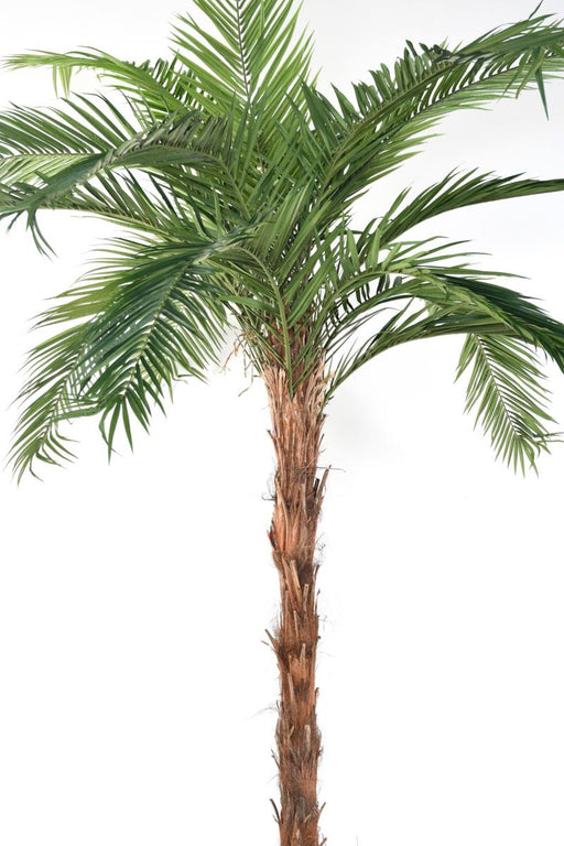 Kunstig Palmetre Phoenix Canariensis H.370Cm Plant