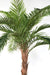 Kunstig Palmetre Phoenix Canariensis H.370Cm Plant