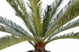 Kunstig Cycas Palm 100 Cm For Innendørs