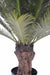 Kunstig Cycas Palm Tree 100 Cm For Innendørs Utendørs