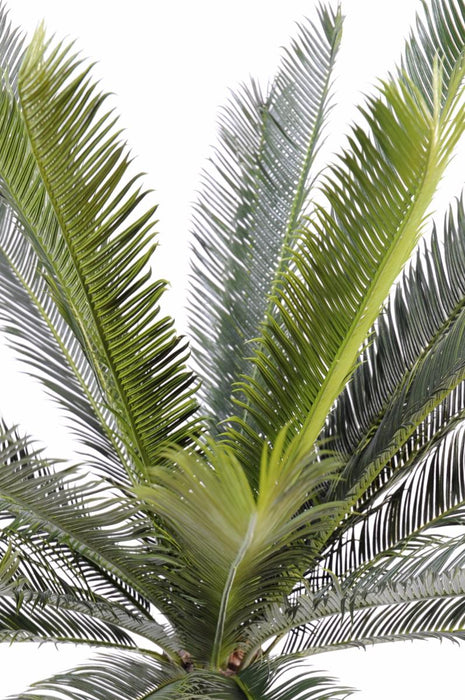 Kunstig Cycas Palm Tree 100 Cm For Innendørs Utendørs