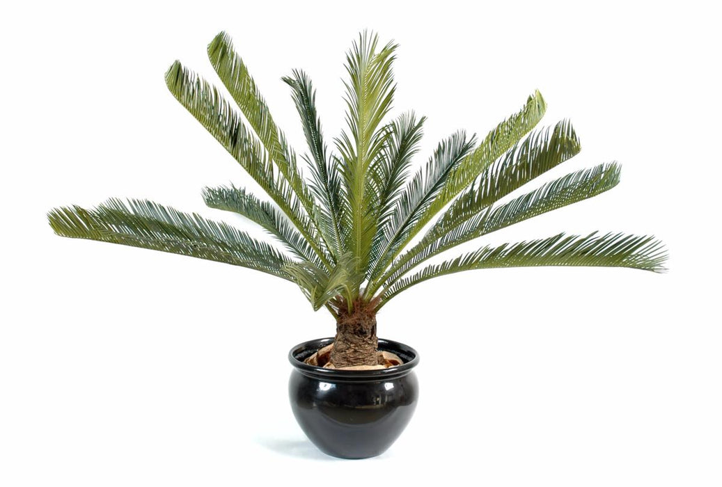 Kunstig Cycas Palm 100 Cm For Innendørs