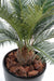 Kunstig Cycas Palm 65Cm Innendørs Utendørs