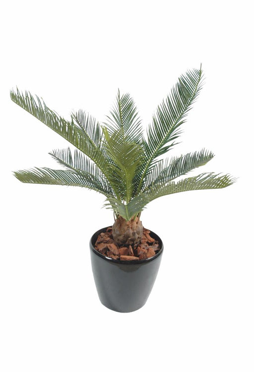 Kunstig Cycas Palm 65Cm Innendørs Utendørs