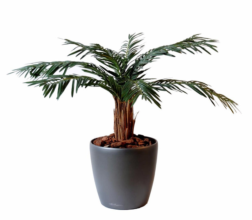 Kunstig Cycas Palm 80Cm For Innendørs