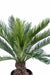 Kunstig Cycas Palm 90Cm For Innendørs Utendørs