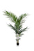 Kentia Palm Artificial Plant - H150Cm, Ø12Cm