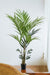 Kentia Palm Artificial Plant - H150Cm, Ø12Cm