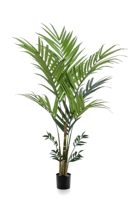 Kentia Palm Artificial Plant - H180Cm, Ø15Cm