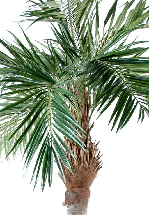 Kunstig Majestet Palm Tree 250 Cm Tropical Green