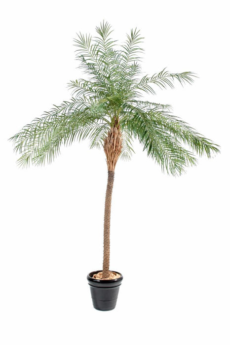 Kunstig Phoenix Palm Tree 220 Cm For Innendørs