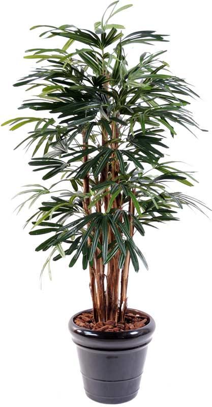 Kunstig Raphis Palm 210 Cm Tropical Plant