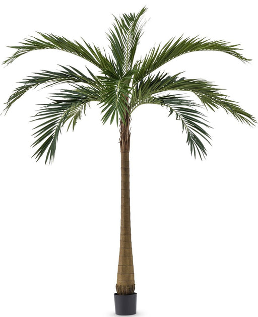 Palm Tree XL Deluxe - Kunstig Tre