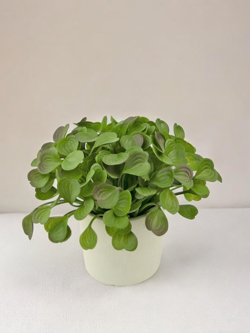 Peperomia - Kunstig Grønn Plante