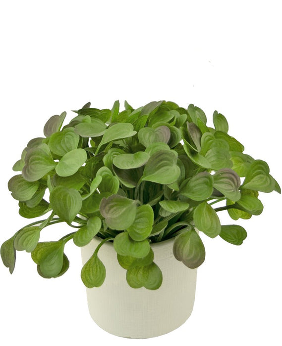 Peperomia - Kunstig Grønn Plante