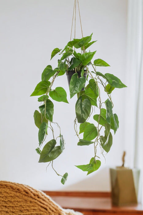 Philodendron Kunstig Plante - H80Cm, Ø18Cm