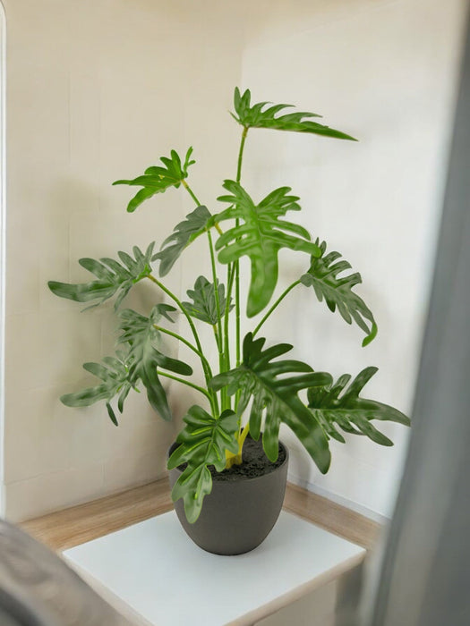 Philodendron Xanadu - Kunstig Grønn Plante