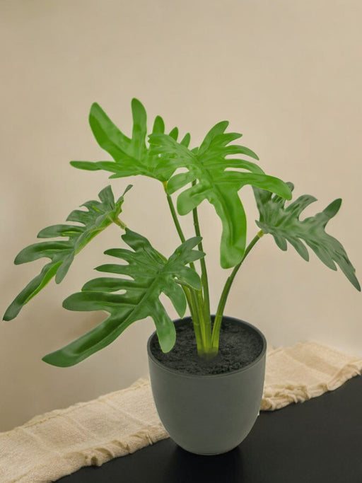 Philodendron Xanadu - Kunstig Grønn Plante