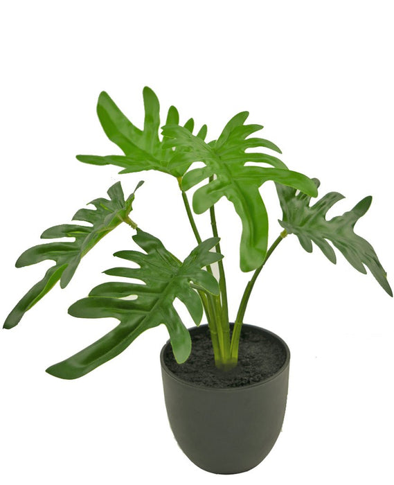 Philodendron Xanadu - Kunstig Grønn Plante