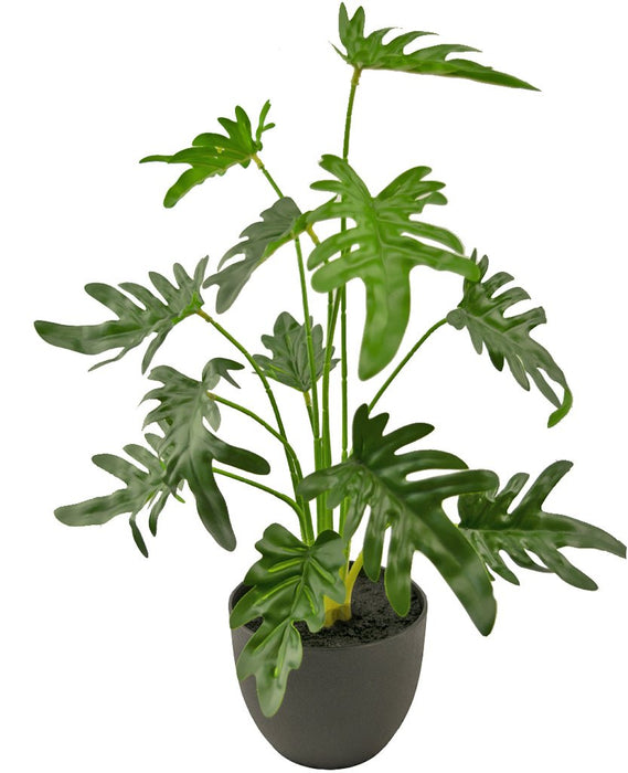 Philodendron Xanadu - Kunstig Grønn Plante