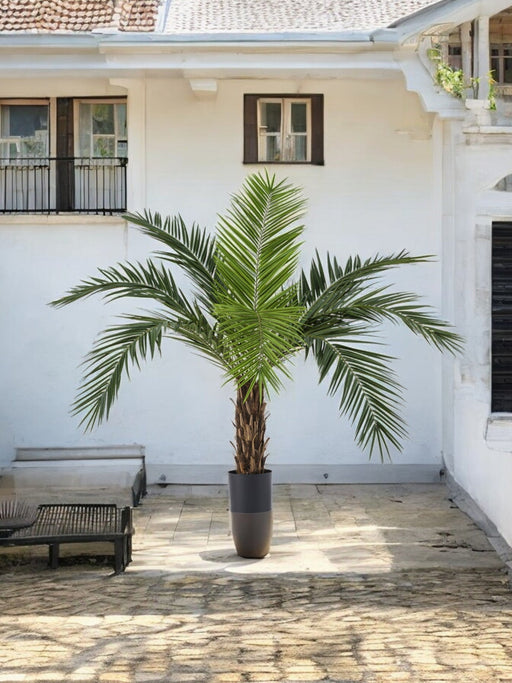 Phoenix Canariensis - Kunstig Palme