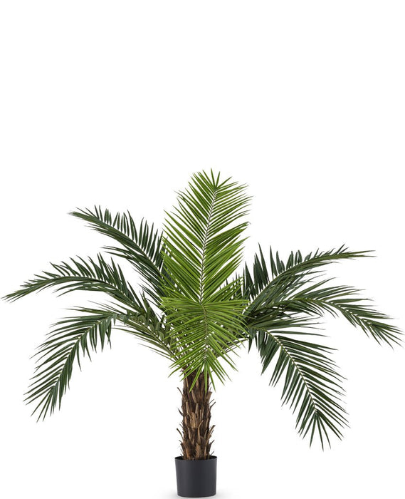 Phoenix Canariensis - Kunstig Palme