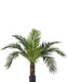 Phoenix Canariensis - Kunstig Palme