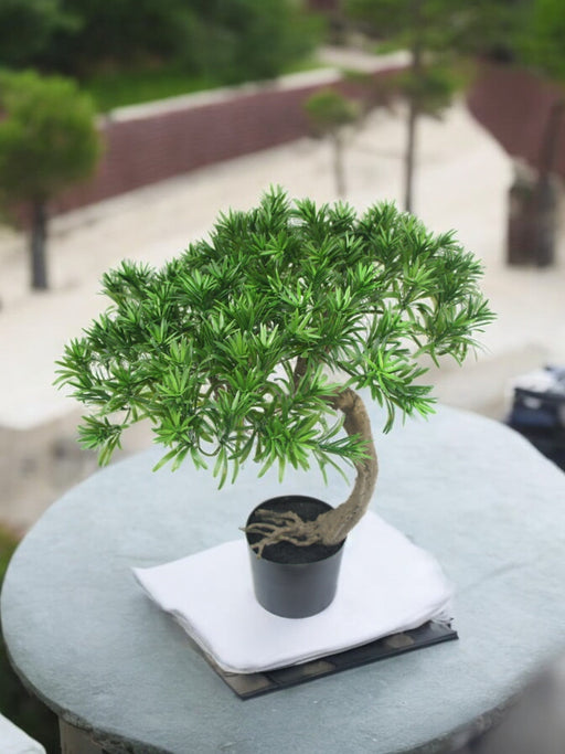 Furu - Kunstig Bonsai