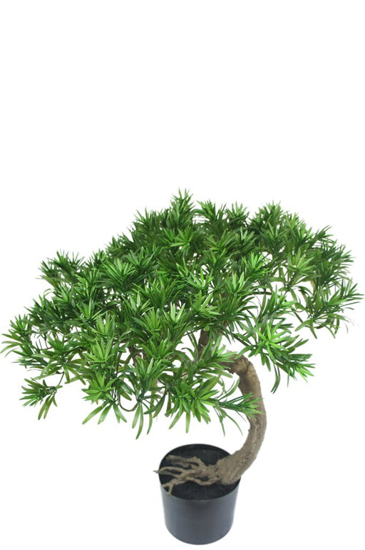 Furu - Kunstig Bonsai