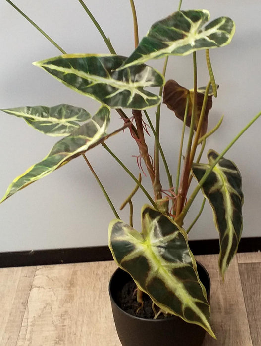 Kunstig Alocasia Plante H.75 Cm I Black Pot