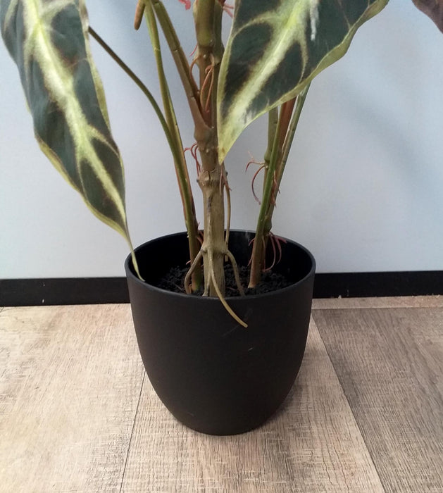 Kunstig Alocasia Plante H.75 Cm I Black Pot