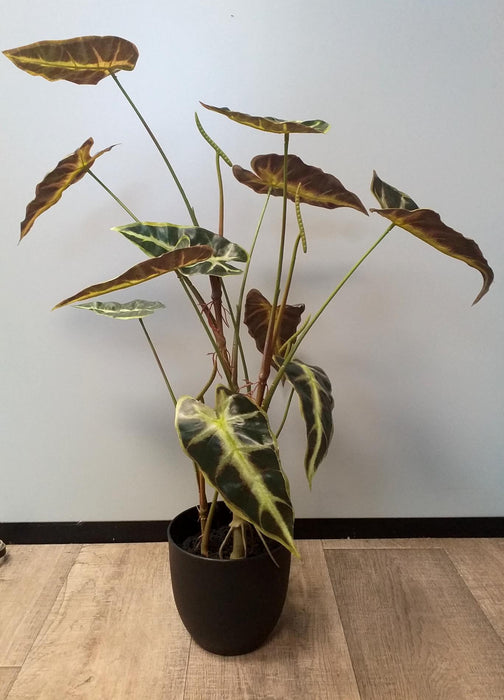 Kunstig Alocasia Plante H.75 Cm I Black Pot