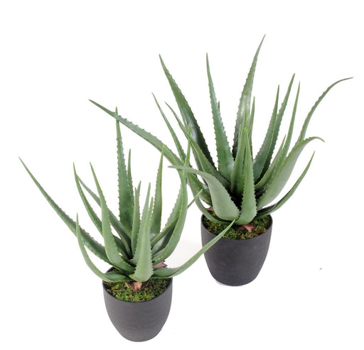 Kunstig Aloe Vera Plante I Potte 60Cm