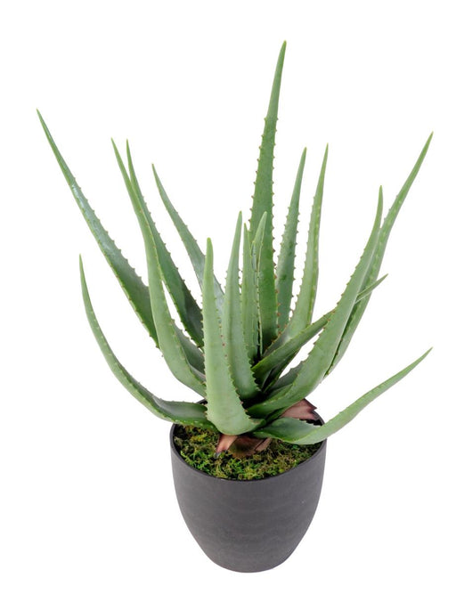 Kunstig Aloe Vera Plante I Potte 60Cm