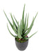 Kunstig Aloe Vera Plante I Potte 60Cm