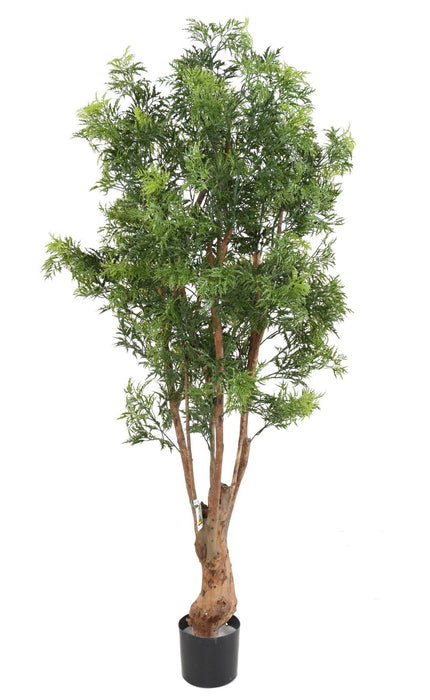 Kunstig Aralia Ming Nitida Plante 170 Cm Uv