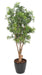 Kunstig Aralia Ming Nitida Plante 170 Cm Uv