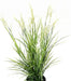 Kunstig Plante Acorus H.70Cm For Outdoor