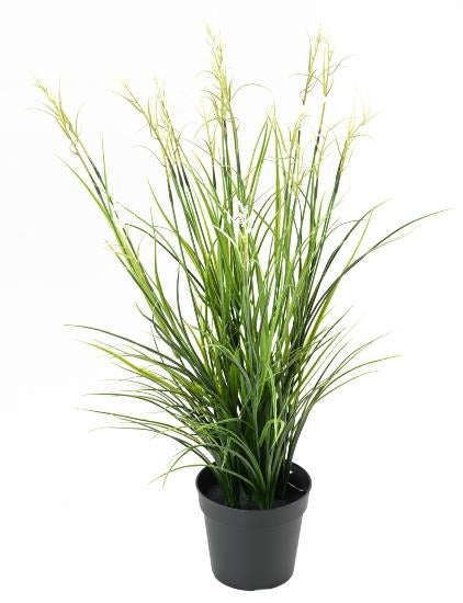 Kunstig Plante Acorus H.70Cm For Outdoor