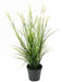 Kunstig Plante Acorus H.70Cm For Outdoor