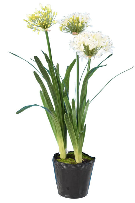 Kunstig Agapanthus Plante 90Cm Hvit