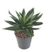 Kunstig Agaveplante 20 Cm For Outdoor Green