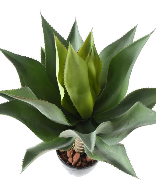 Kunstig Plante Agave Kaktus Innendørs 75Cm