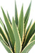 Kunstig Plante Agave Furcraea 110Cm Grønn Gul