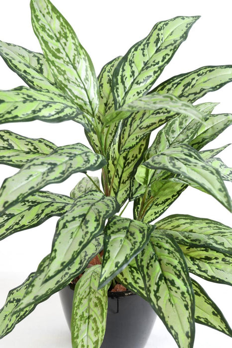 Kunstig Plante Aglaonema 80Cm For Innendørs